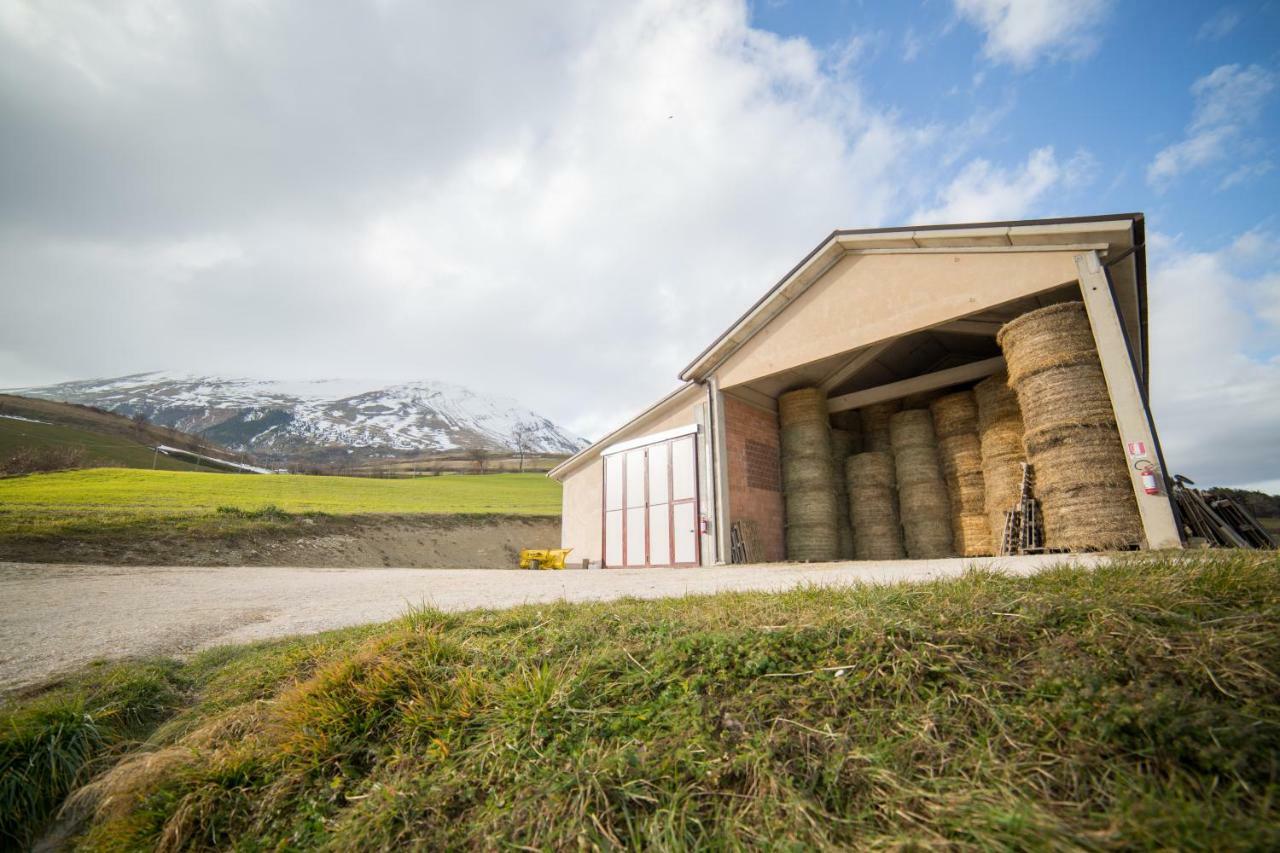 モンテモーナコ La Fattoria Dei Sibilliniヴィラ エクステリア 写真